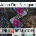 Nizagara Oral Jelly 15